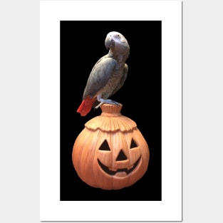 Jack-o-lantern Halloween African Grey Parrot Posters and Art